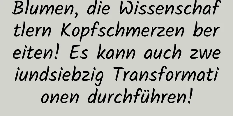 Blumen, die Wissenschaftlern Kopfschmerzen bereiten! Es kann auch zweiundsiebzig Transformationen durchführen!