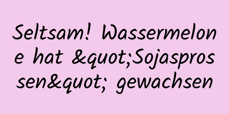 Seltsam! Wassermelone hat "Sojasprossen" gewachsen