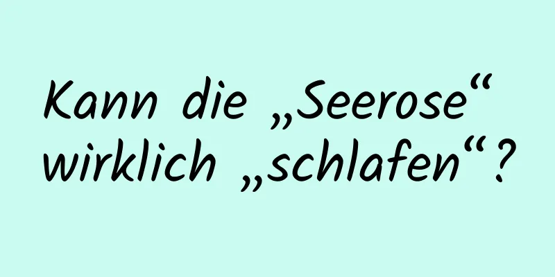 Kann die „Seerose“ wirklich „schlafen“?