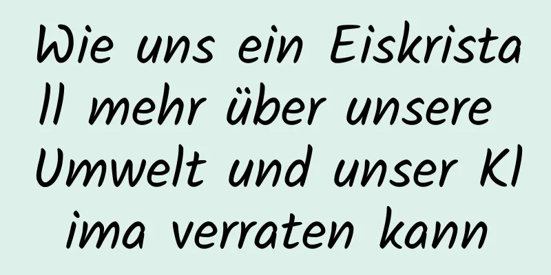 Wie uns ein Eiskristall mehr über unsere Umwelt und unser Klima verraten kann
