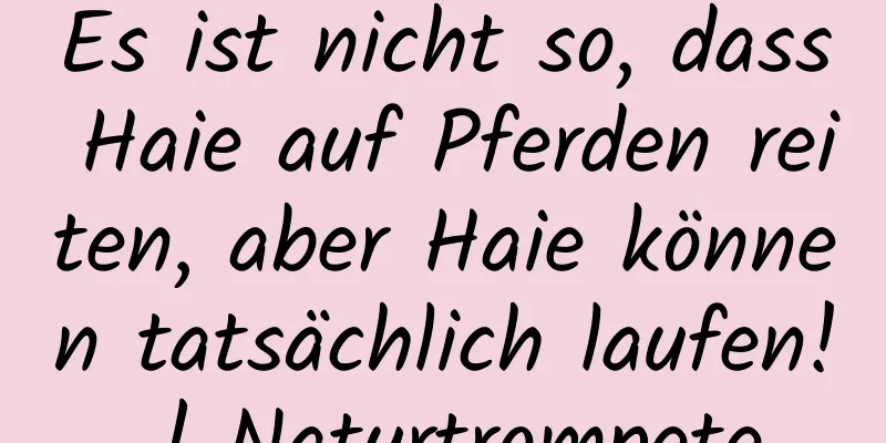 Es ist nicht so, dass Haie auf Pferden reiten, aber Haie können tatsächlich laufen! | Naturtrompete