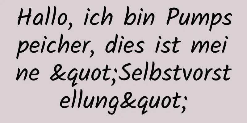 Hallo, ich bin Pumpspeicher, dies ist meine "Selbstvorstellung"
