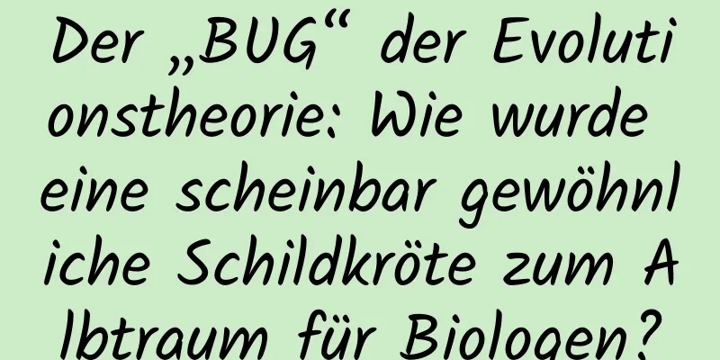 Der „BUG“ der Evolutionstheorie: Wie wurde eine scheinbar gewöhnliche Schildkröte zum Albtraum für Biologen?