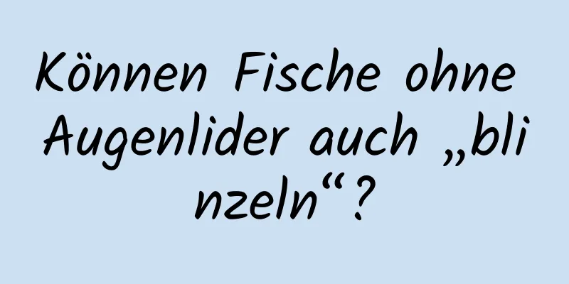 Können Fische ohne Augenlider auch „blinzeln“?