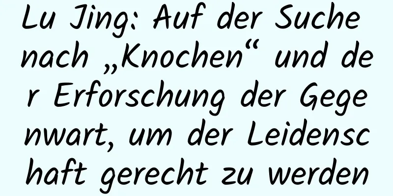 Lu Jing: Auf der Suche nach „Knochen“ und der Erforschung der Gegenwart, um der Leidenschaft gerecht zu werden