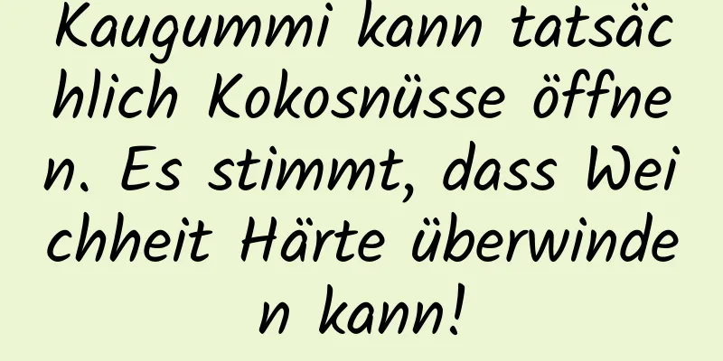 Kaugummi kann tatsächlich Kokosnüsse öffnen. Es stimmt, dass Weichheit Härte überwinden kann!