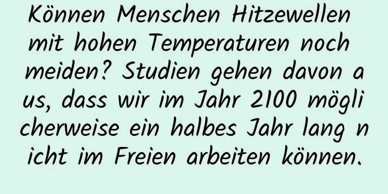 Können Menschen Hitzewellen mit hohen Temperaturen noch meiden? Studien gehen davon aus, dass wir im Jahr 2100 möglicherweise ein halbes Jahr lang nicht im Freien arbeiten können.