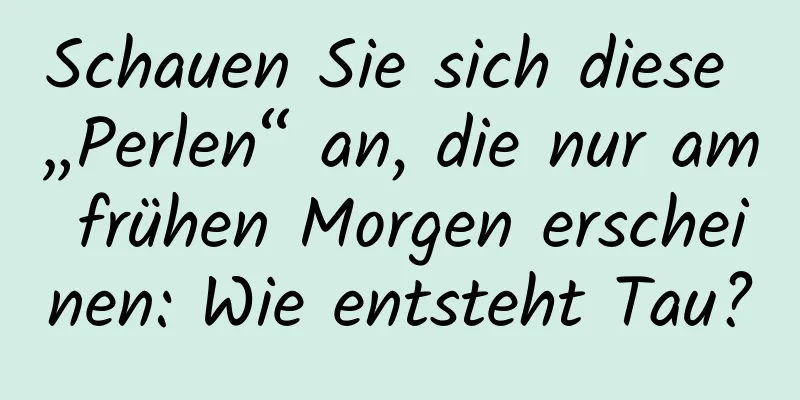 Schauen Sie sich diese „Perlen“ an, die nur am frühen Morgen erscheinen: Wie entsteht Tau?