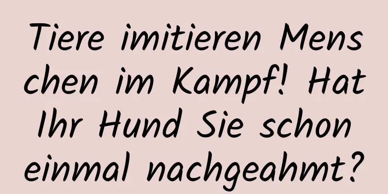 Tiere imitieren Menschen im Kampf! Hat Ihr Hund Sie schon einmal nachgeahmt?