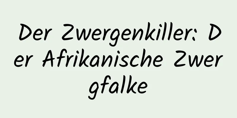 Der Zwergenkiller: Der Afrikanische Zwergfalke