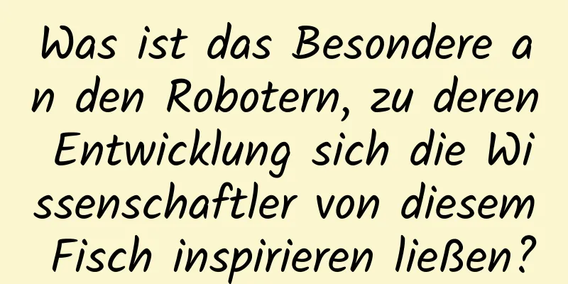 Was ist das Besondere an den Robotern, zu deren Entwicklung sich die Wissenschaftler von diesem Fisch inspirieren ließen?