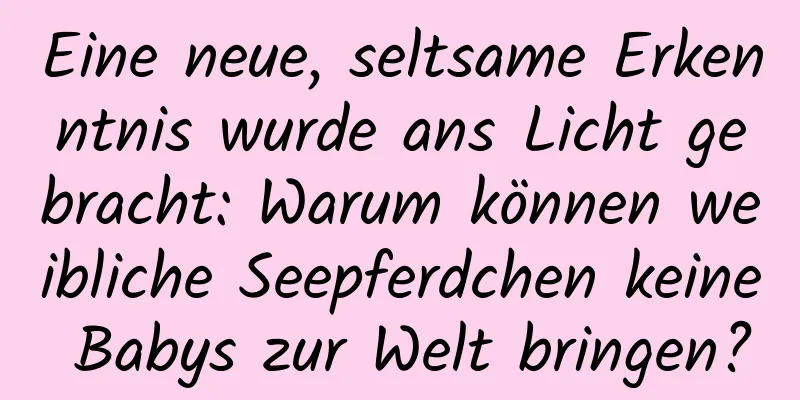 Eine neue, seltsame Erkenntnis wurde ans Licht gebracht: Warum können weibliche Seepferdchen keine Babys zur Welt bringen?