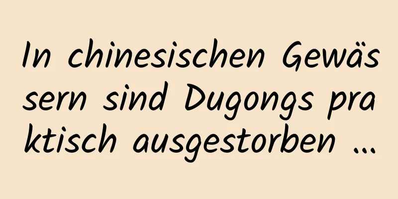 In chinesischen Gewässern sind Dugongs praktisch ausgestorben …