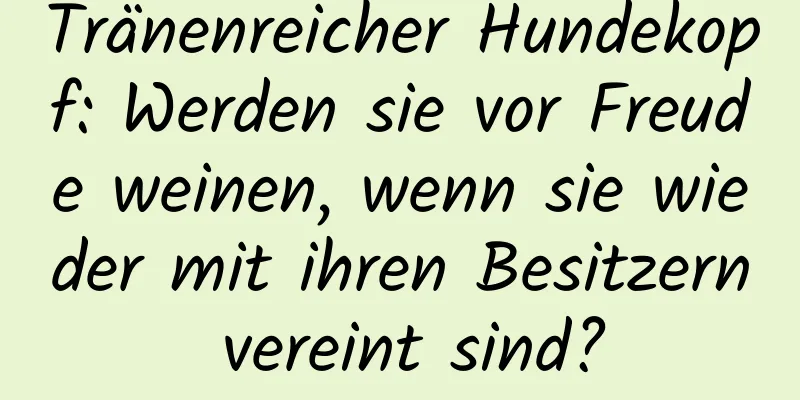 Tränenreicher Hundekopf: Werden sie vor Freude weinen, wenn sie wieder mit ihren Besitzern vereint sind?