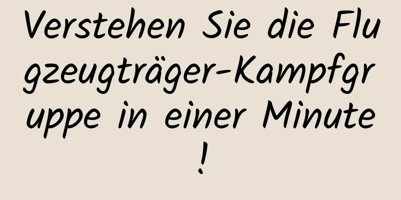 Verstehen Sie die Flugzeugträger-Kampfgruppe in einer Minute!