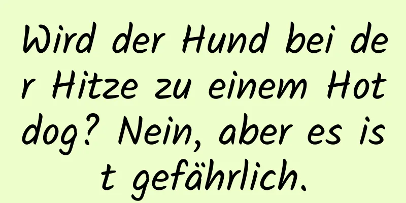 Wird der Hund bei der Hitze zu einem Hotdog? Nein, aber es ist gefährlich.
