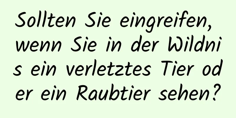 Sollten Sie eingreifen, wenn Sie in der Wildnis ein verletztes Tier oder ein Raubtier sehen?