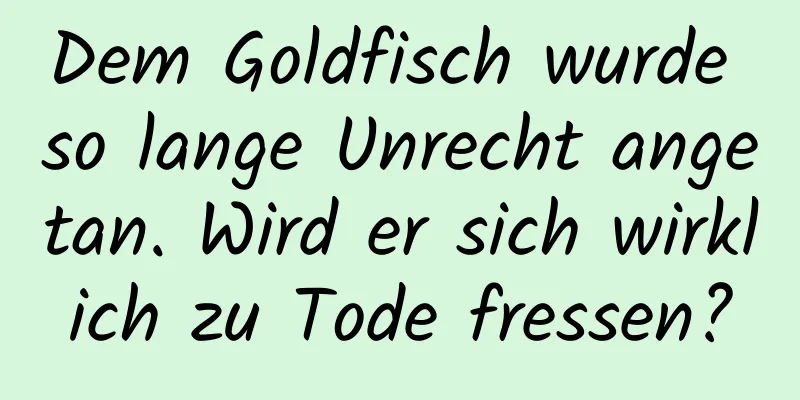 Dem Goldfisch wurde so lange Unrecht angetan. Wird er sich wirklich zu Tode fressen?