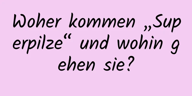 Woher kommen „Superpilze“ und wohin gehen sie?