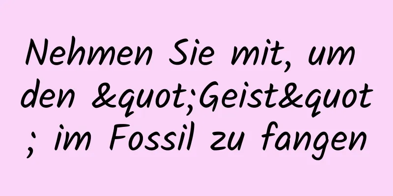 Nehmen Sie mit, um den "Geist" im Fossil zu fangen