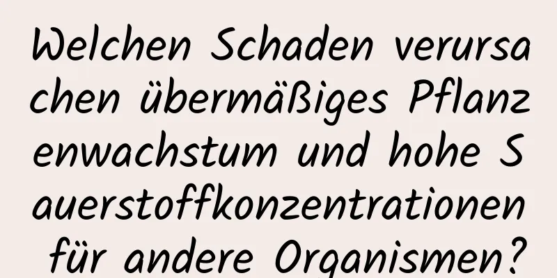 Welchen Schaden verursachen übermäßiges Pflanzenwachstum und hohe Sauerstoffkonzentrationen für andere Organismen?