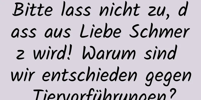 Bitte lass nicht zu, dass aus Liebe Schmerz wird! Warum sind wir entschieden gegen Tiervorführungen?