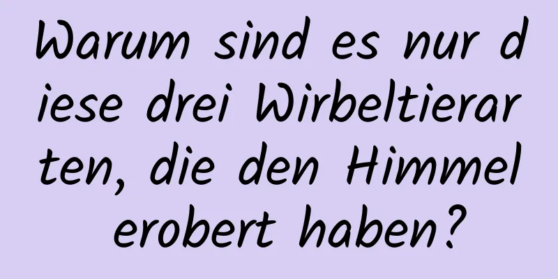 Warum sind es nur diese drei Wirbeltierarten, die den Himmel erobert haben?