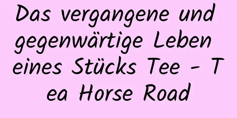 Das vergangene und gegenwärtige Leben eines Stücks Tee - Tea Horse Road