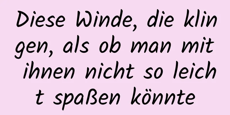 Diese Winde, die klingen, als ob man mit ihnen nicht so leicht spaßen könnte