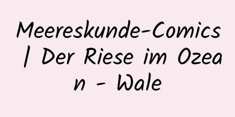 Meereskunde-Comics | Der Riese im Ozean - Wale