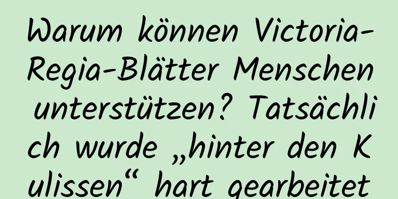 Warum können Victoria-Regia-Blätter Menschen unterstützen? Tatsächlich wurde „hinter den Kulissen“ hart gearbeitet
