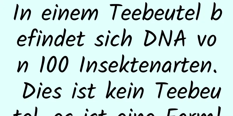 In einem Teebeutel befindet sich DNA von 100 Insektenarten. Dies ist kein Teebeutel, es ist eine Farm!