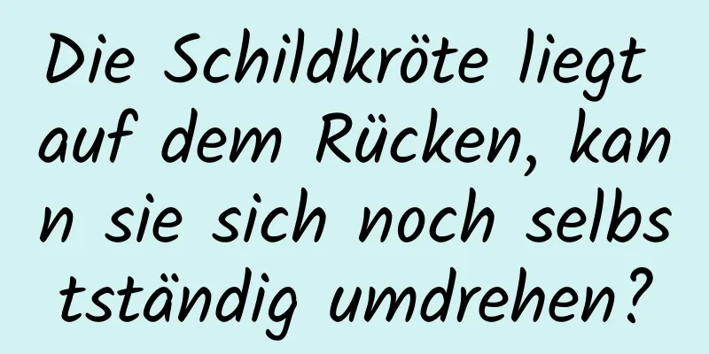 Die Schildkröte liegt auf dem Rücken, kann sie sich noch selbstständig umdrehen?