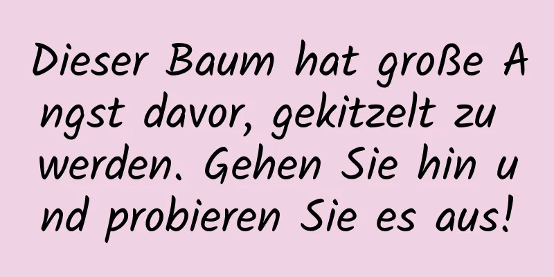Dieser Baum hat große Angst davor, gekitzelt zu werden. Gehen Sie hin und probieren Sie es aus!