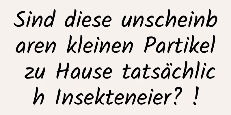 Sind diese unscheinbaren kleinen Partikel zu Hause tatsächlich Insekteneier? !