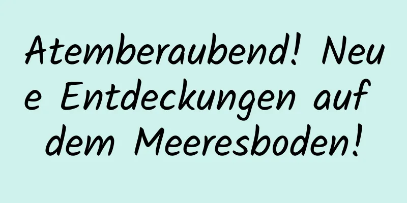 Atemberaubend! Neue Entdeckungen auf dem Meeresboden!