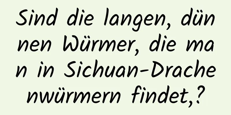 Sind die langen, dünnen Würmer, die man in Sichuan-Drachenwürmern findet,?
