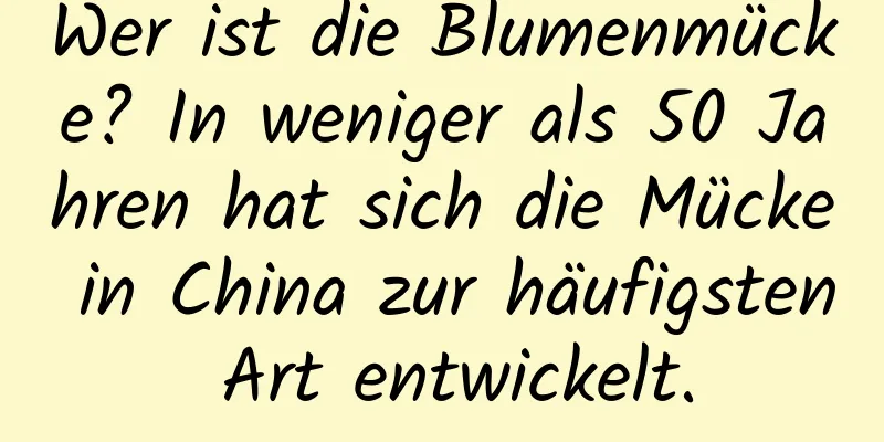 Wer ist die Blumenmücke? In weniger als 50 Jahren hat sich die Mücke in China zur häufigsten Art entwickelt.