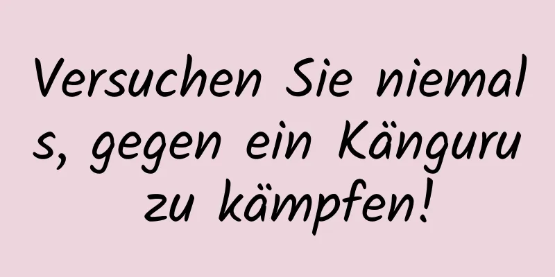 Versuchen Sie niemals, gegen ein Känguru zu kämpfen!