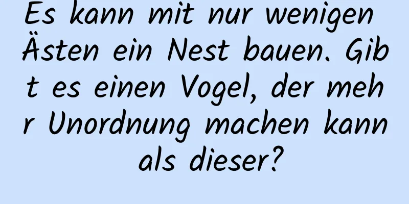 Es kann mit nur wenigen Ästen ein Nest bauen. Gibt es einen Vogel, der mehr Unordnung machen kann als dieser?