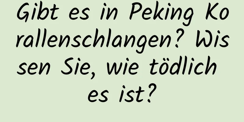 Gibt es in Peking Korallenschlangen? Wissen Sie, wie tödlich es ist?