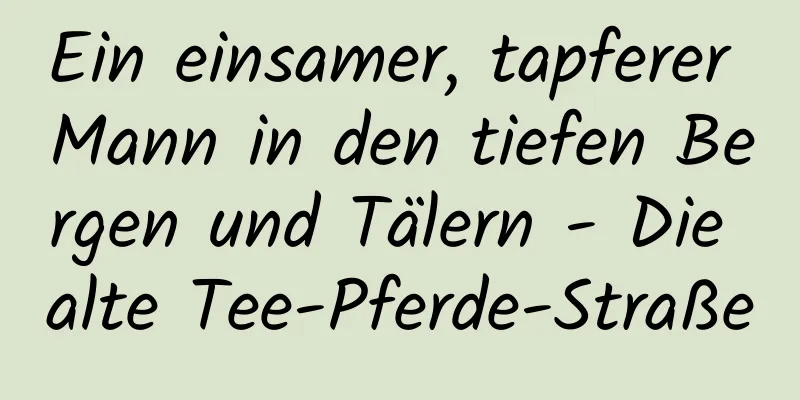 Ein einsamer, tapferer Mann in den tiefen Bergen und Tälern - Die alte Tee-Pferde-Straße