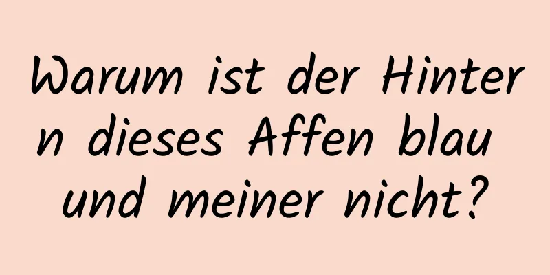 Warum ist der Hintern dieses Affen blau und meiner nicht?