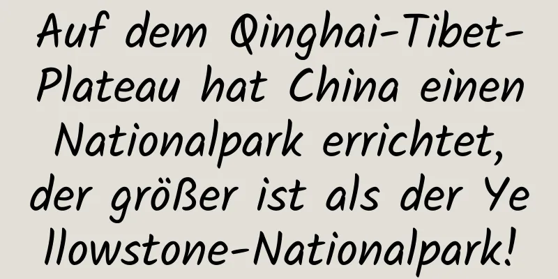 Auf dem Qinghai-Tibet-Plateau hat China einen Nationalpark errichtet, der größer ist als der Yellowstone-Nationalpark!