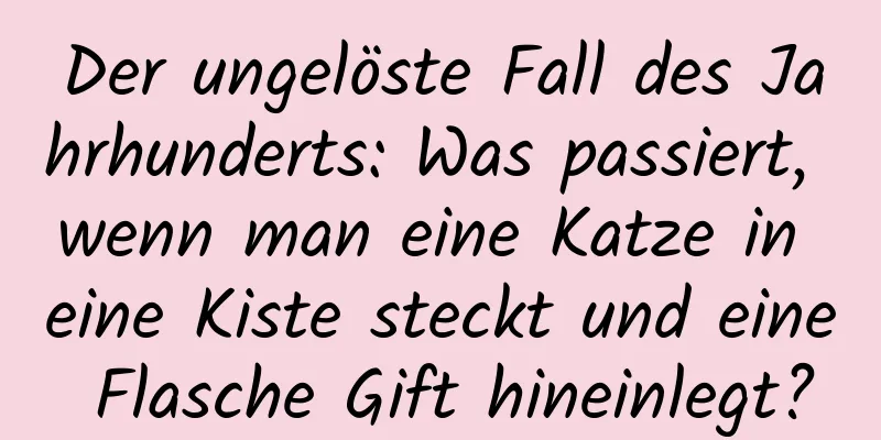 Der ungelöste Fall des Jahrhunderts: Was passiert, wenn man eine Katze in eine Kiste steckt und eine Flasche Gift hineinlegt?