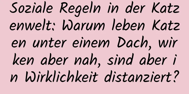 Soziale Regeln in der Katzenwelt: Warum leben Katzen unter einem Dach, wirken aber nah, sind aber in Wirklichkeit distanziert?