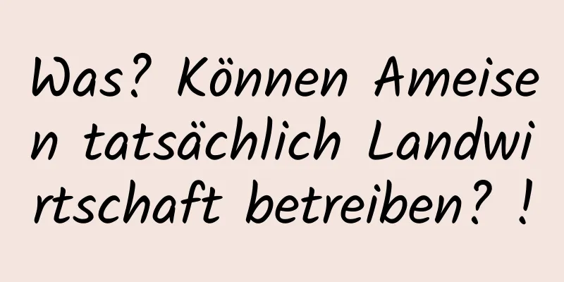 Was? Können Ameisen tatsächlich Landwirtschaft betreiben? !