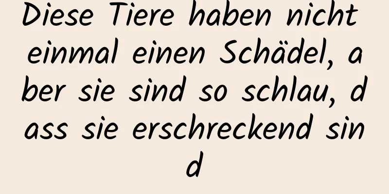 Diese Tiere haben nicht einmal einen Schädel, aber sie sind so schlau, dass sie erschreckend sind