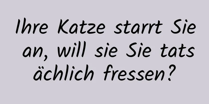 Ihre Katze starrt Sie an, will sie Sie tatsächlich fressen?