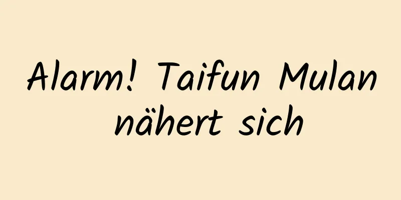 Alarm! Taifun Mulan nähert sich